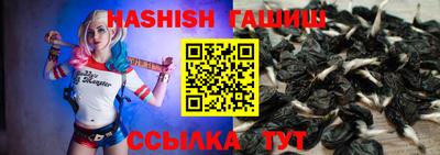 крисы Гагарин