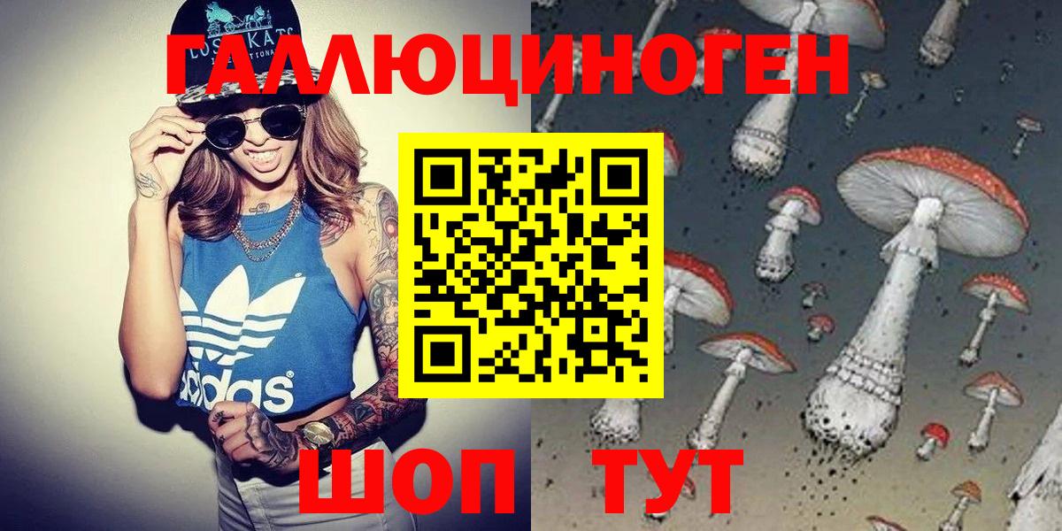 Камышлов  Галлюциногенные грибы Psilocybe  Вход с VPN 