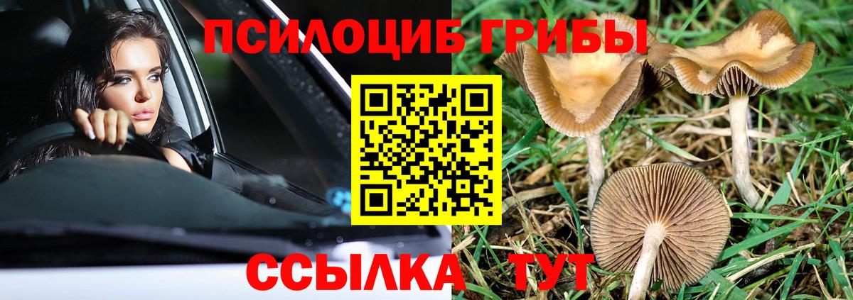 Псилоцибиновые грибы ЛСД Камышлов