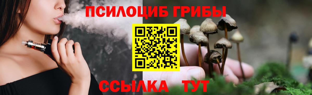 Галлюциногенные грибы MAGIC MUSHROOMS  Камышлов 